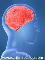تست جدید تشخیص سلامت نیم کره راست مغز 